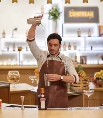 THE ART OF MIXOLOGY barman