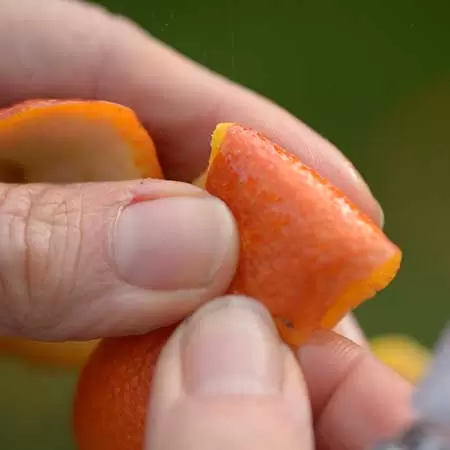 Squeezing the orange skin