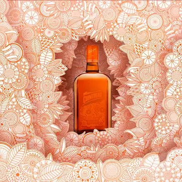 The perfect holiday gift