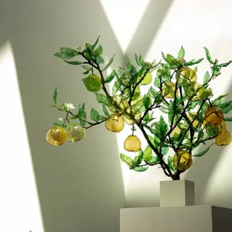 Discover the distillery 