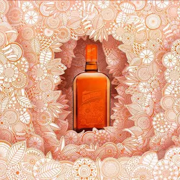 The perfect holiday gift